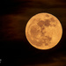 Full moon on an overcast night by photographycrazy