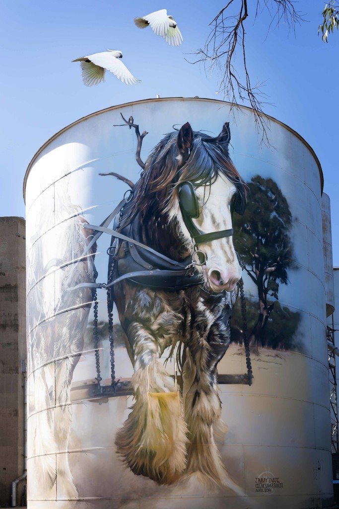 Painted silo Goorambat by pusspup