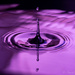 Purple...  by ingrid01
