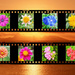 Flower Photo Strip by onewing