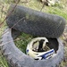 Two tyres and a bike helmet - obvs by tinley23