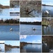 March 16th Wildfowl Reel by valpetersen