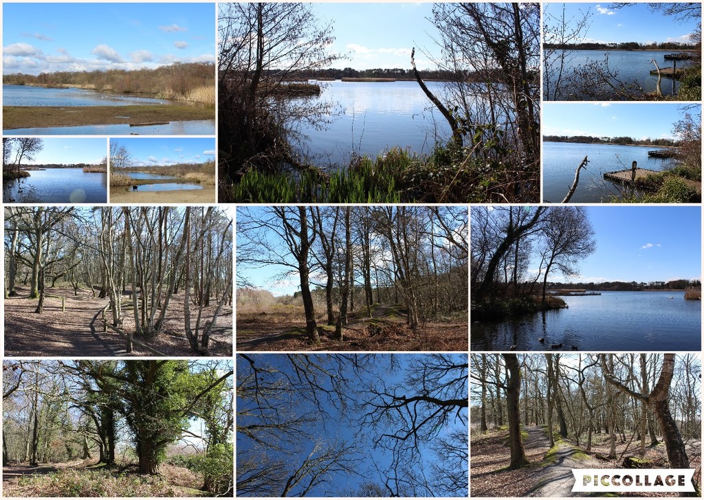 March 18th Pond Reel 2 by valpetersen