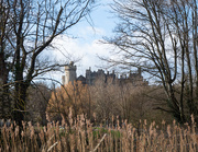 17th Mar 2021 - Arundel Castle