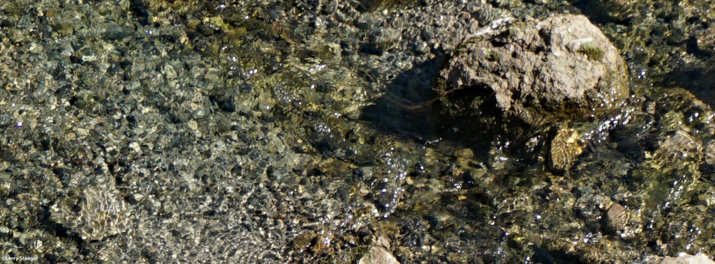 Creek by larrysphotos