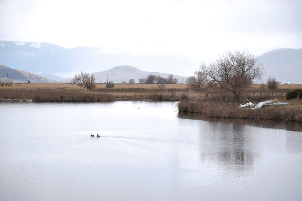 Montana Afternoon Serenity by bjywamer