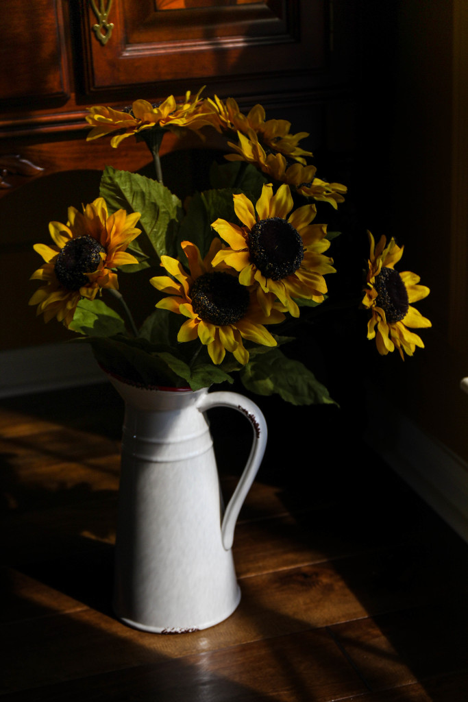 Sunflowers in Window Light by judyc57