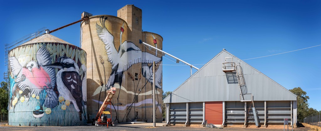 Painted silos Tungamah by pusspup