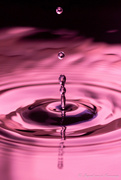 21st Mar 2021 - Drops in pink