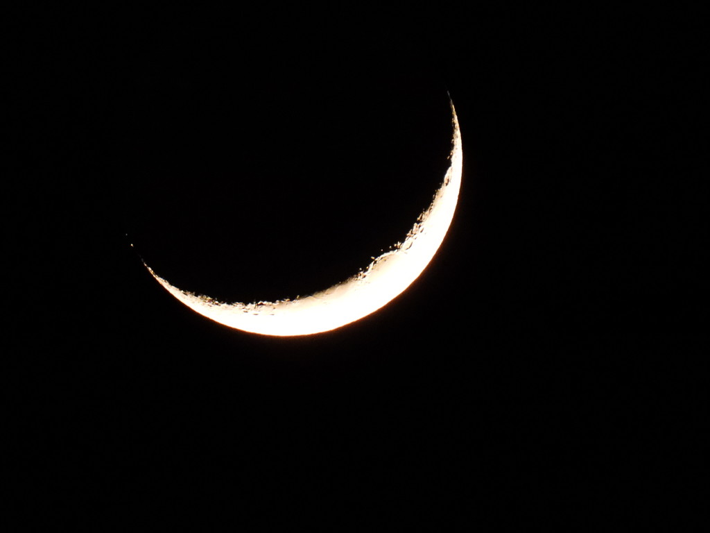 Crescent Moon by frantackaberry
