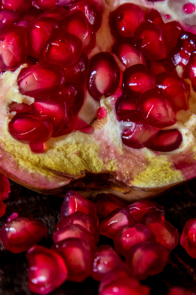 Pomegranate by seacreature