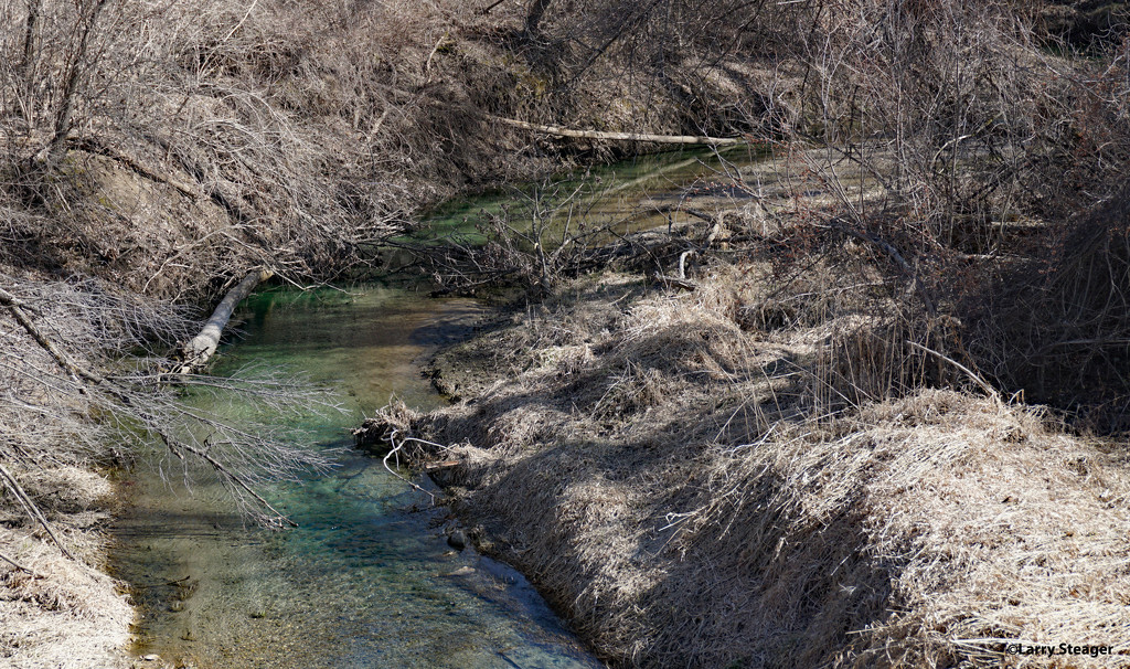 Flowing creek by larrysphotos