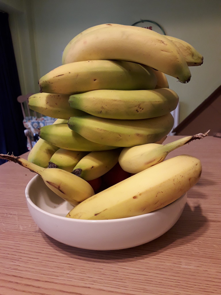 somebody bought too many bananas by yorkshirelady