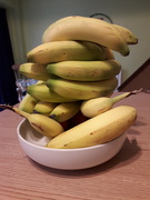 21st Mar 2021 - somebody bought too many bananas