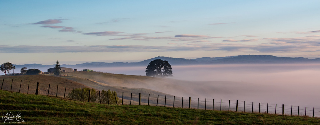 Mist in the Waikato by yorkshirekiwi