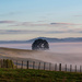 Mist in the Waikato by yorkshirekiwi