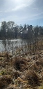 21st Mar 2021 - Lady's Pond, Dougalston