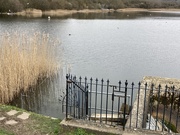 21st Mar 2021 - Afternoon Walk Around The Reservoir