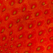 Strawberry by rumpelstiltskin