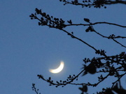 18th Mar 2021 - Moon crescent in the blue hour