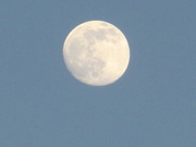 26th Feb 2021 - Close to full moon