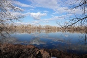 22nd Mar 2021 - Reflections at Arapahoe Bend