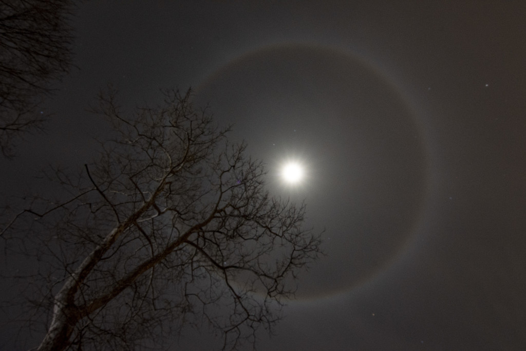 Ring Around the Moon by cwbill