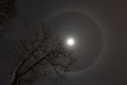22nd Mar 2021 - Ring Around the Moon