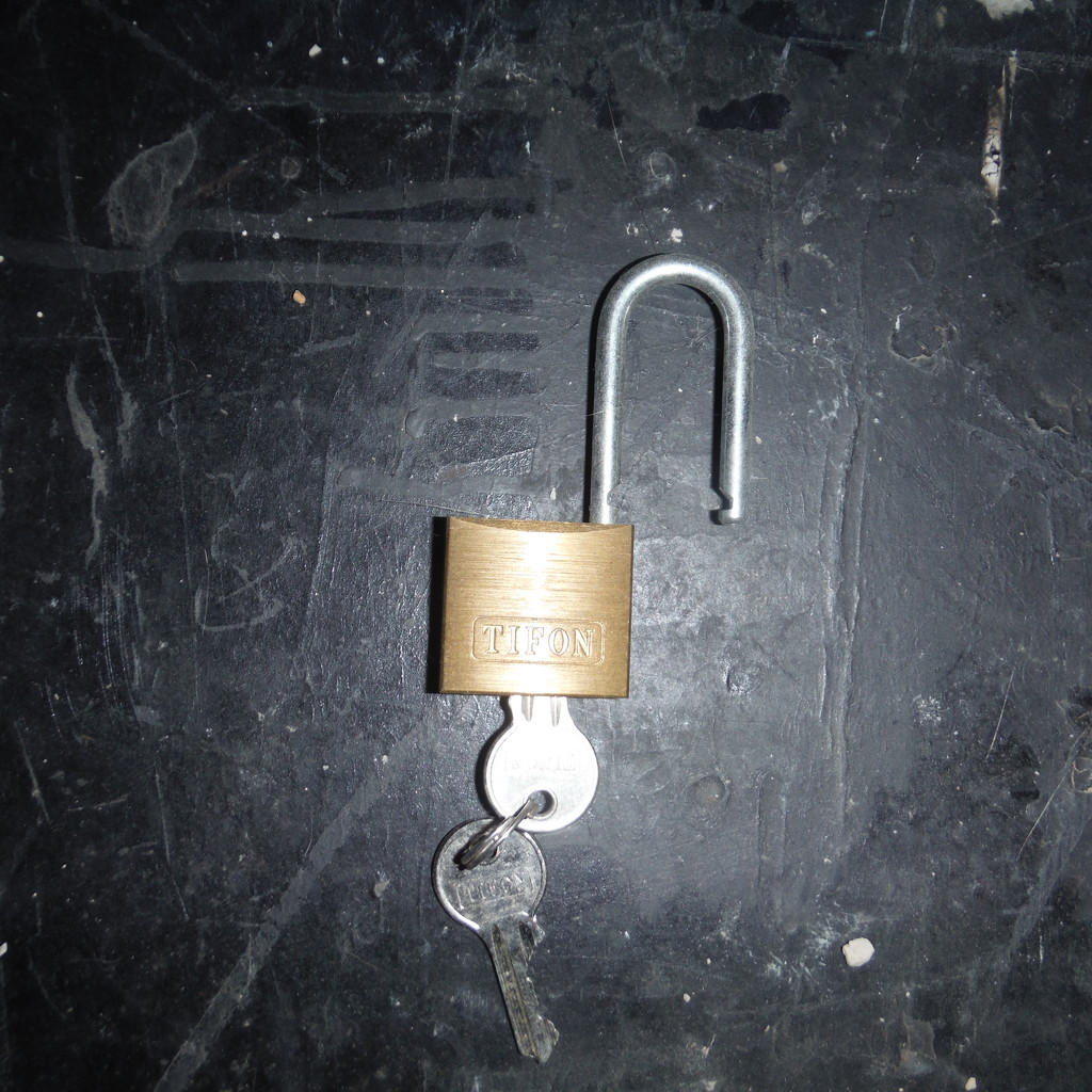 Lock #4: Lock with Keys by spanishliz