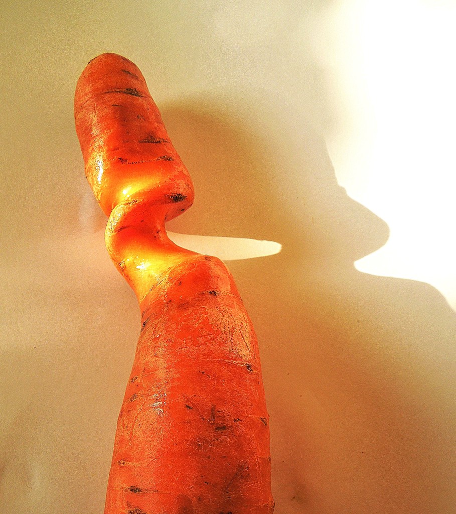 Twisted carrot by etienne