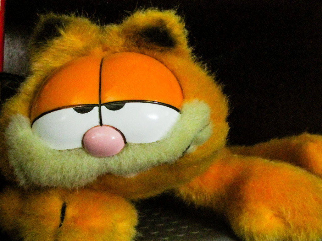 Orange Garfield stuffed animal by mittens