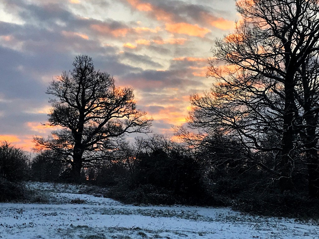 Winter sunrise by goosemanning