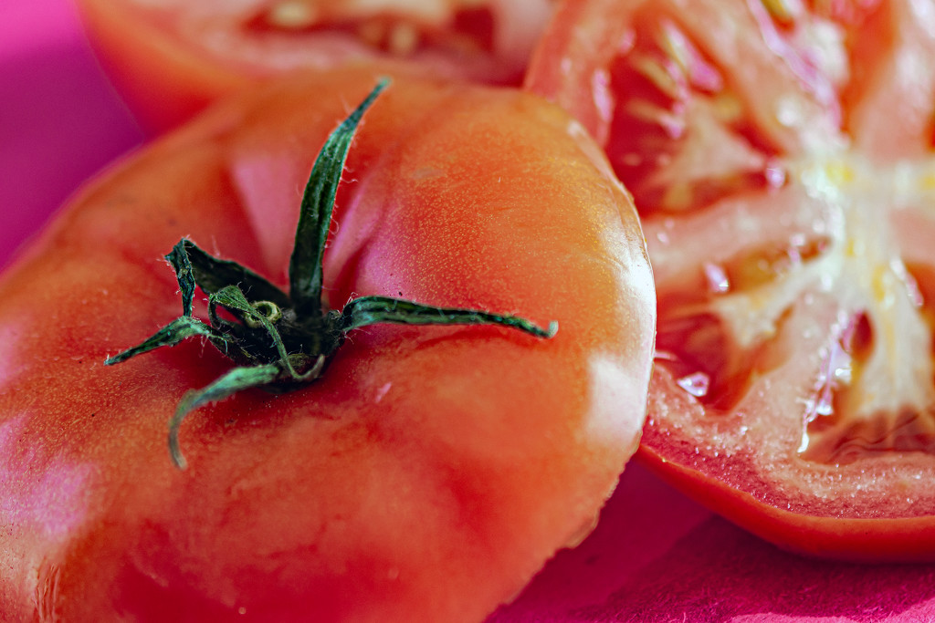 March Words - Tomato by farmreporter