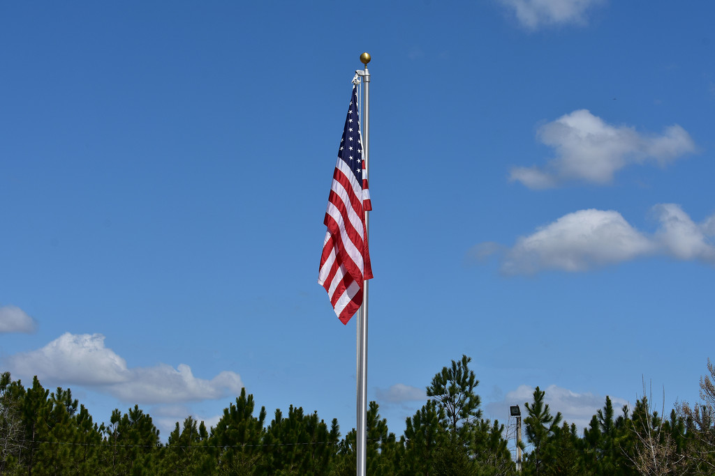 Flag on a spring day by homeschoolmom