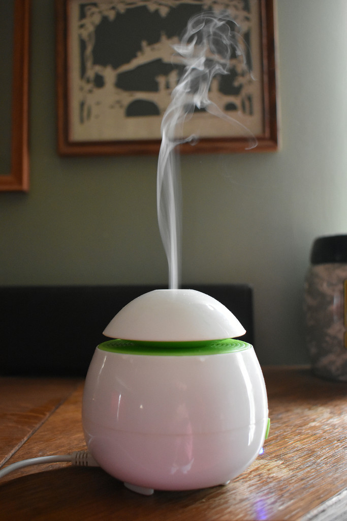 It's a diffuser kind of day by homeschoolmom