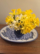 23rd Mar 2021 - Daffodils 