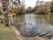 24th Mar 2021 - Wildlife pond.....