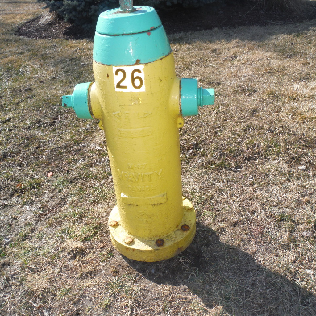 Yellow (and Green) Hydrant by spanishliz