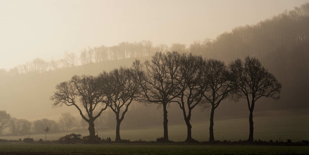 The South Downs  by moonbi