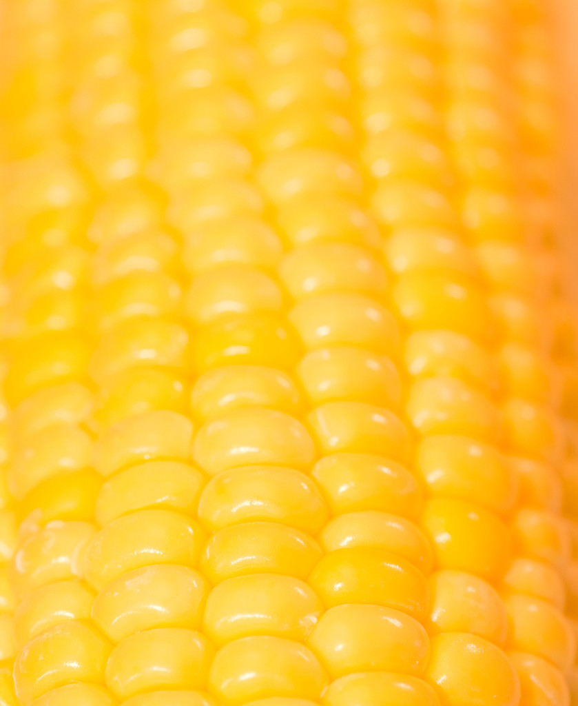 Corn on the cob by rumpelstiltskin