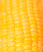 24th Mar 2021 - Corn on the cob
