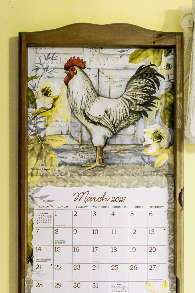 March Words - Yellow in the Kitchen by farmreporter