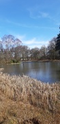 24th Mar 2021 - Lady's Pond at Dougalston