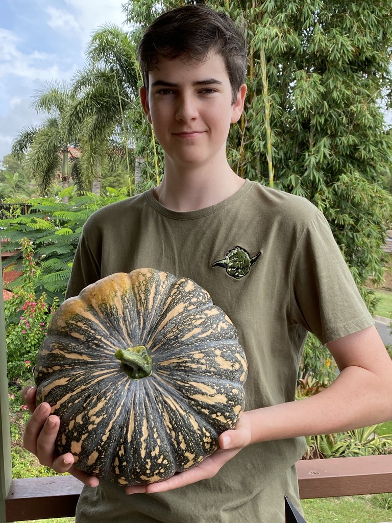 6.2 kg pumpkin  by corymbia