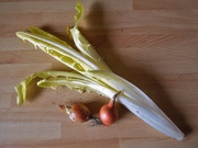 25th Mar 2021 - Still life with endive