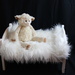 Posing Lamb by judyc57