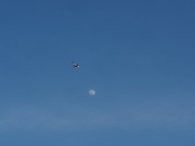 25th Mar 2021 - Fly me to the Moon