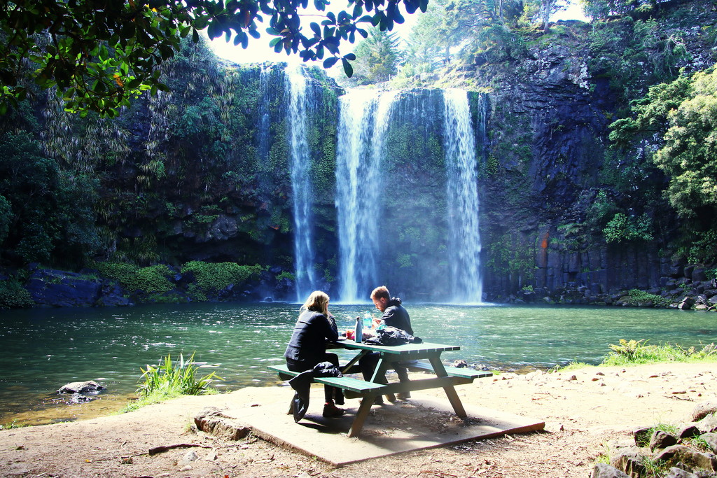 Picnic Lunch by the Falls by terryliv