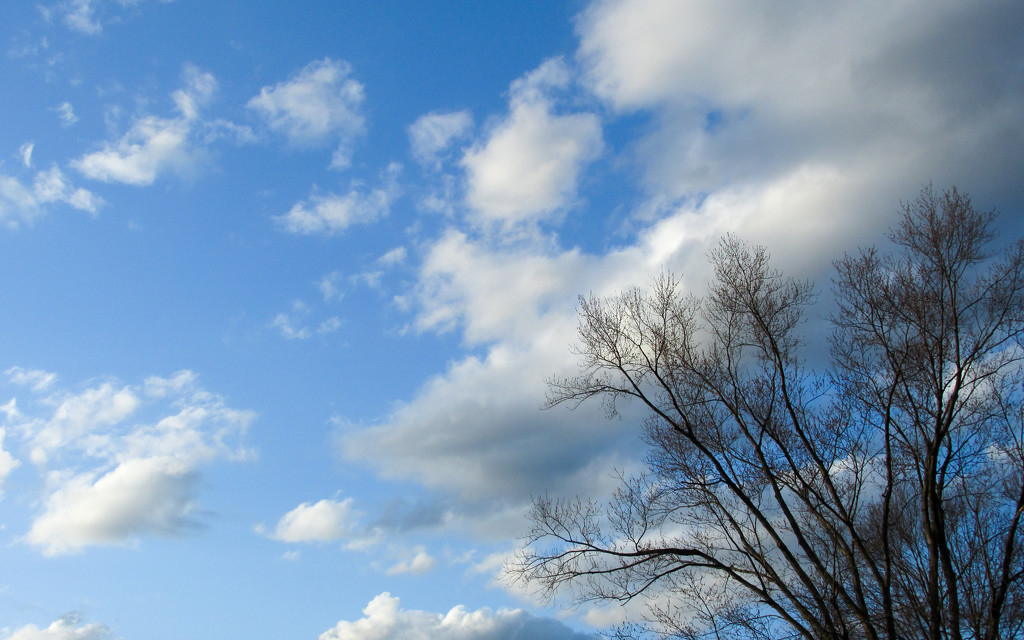 Blue sky with clouds by mittens