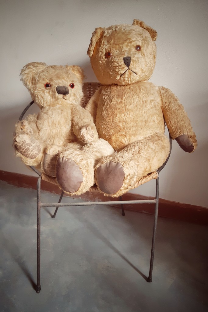 Old Teddies and Chair by salza